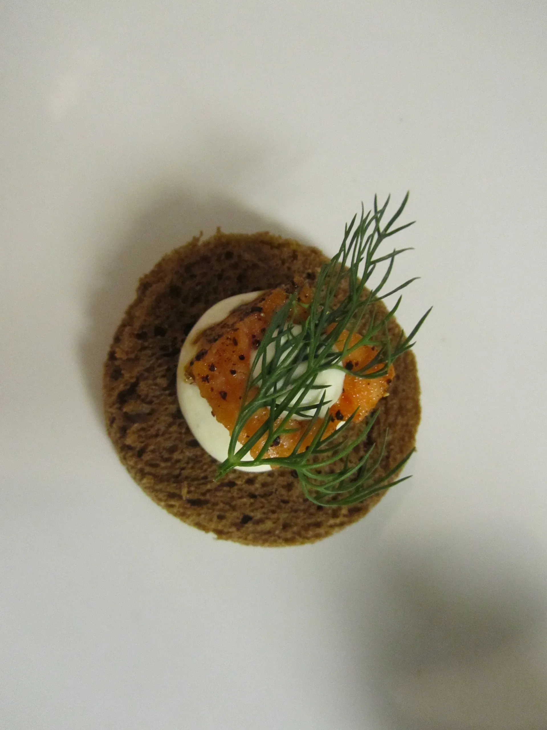 A single canape of cured salmon and dill on dark rye, seen from above
