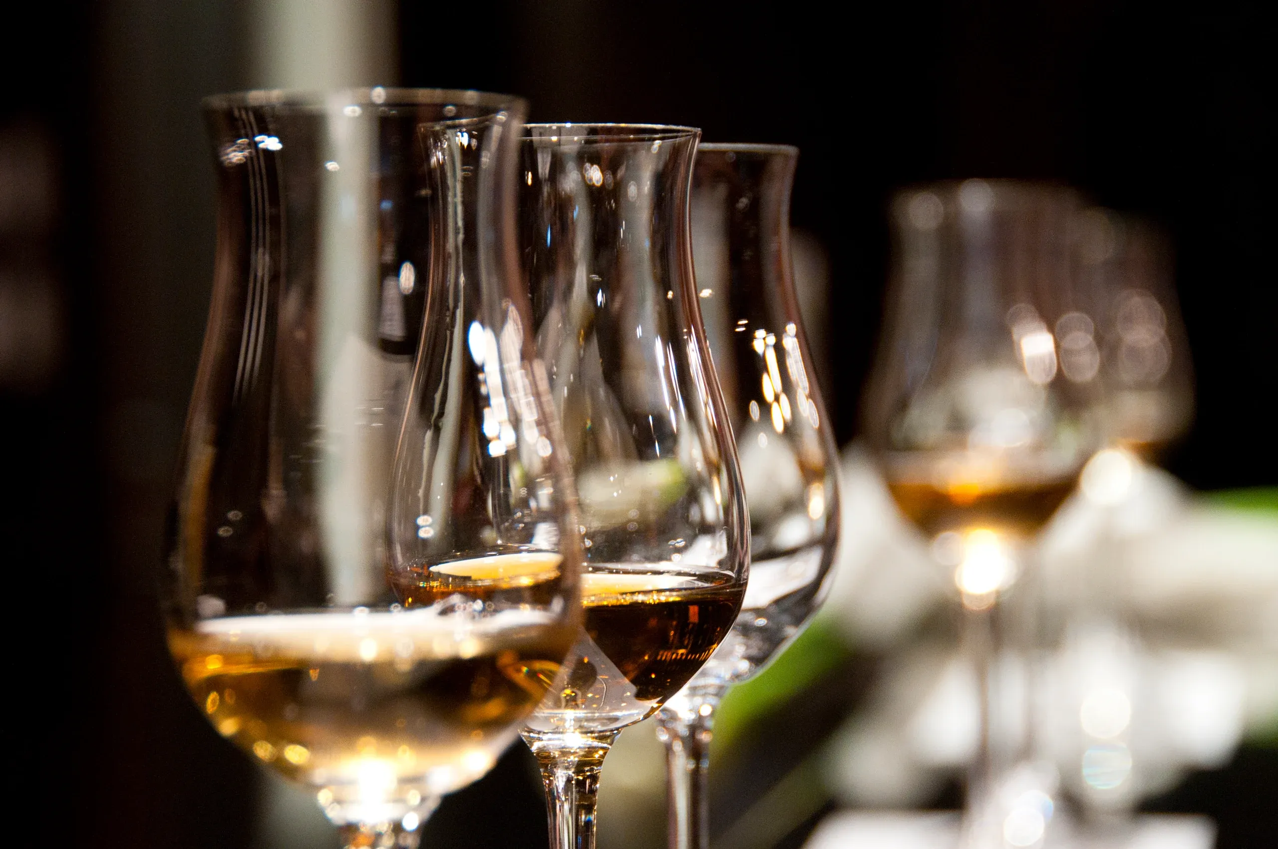 A row of tulip glasses with amber drinks catching the light on a dark bar