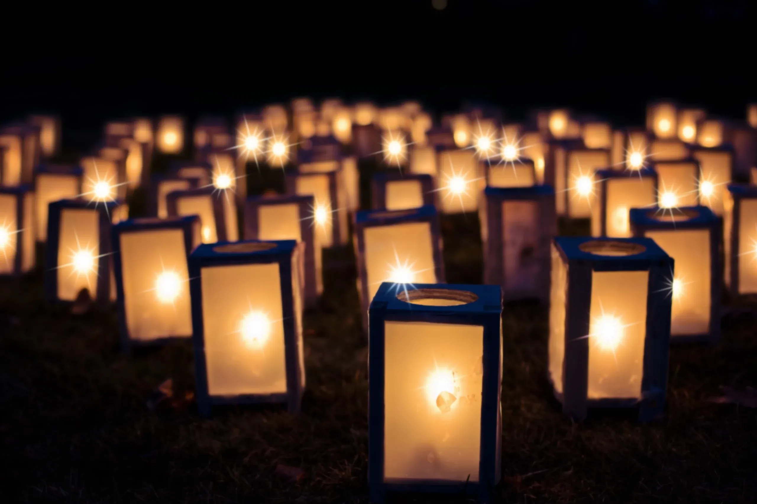 Rows of glowing paper lanterns set out across the lawn at night